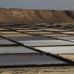 Salinas de Janubio