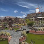 Jardin de Cactus